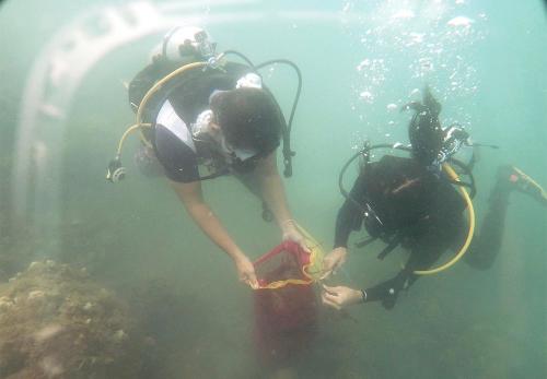 Coastal Cleanup in Apo Reef Natural Park