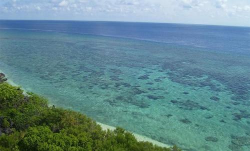 Apo Reef Natural Park