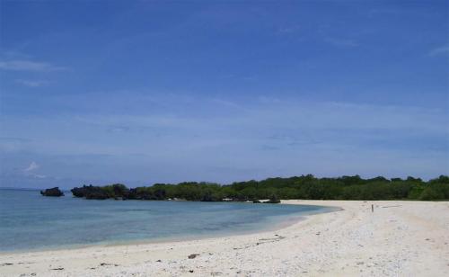 Apo Reef Natural Park