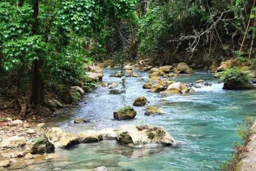 Brook near Kawasan Falls