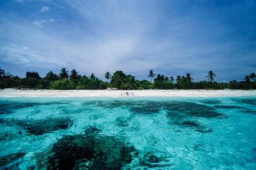 Balicasag Island