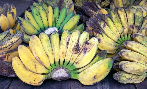 Saba Banana
