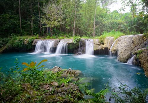 Cambugahay Falls