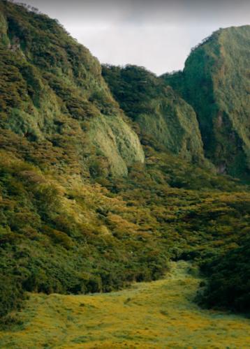 Landscape at Mount Kanlaon