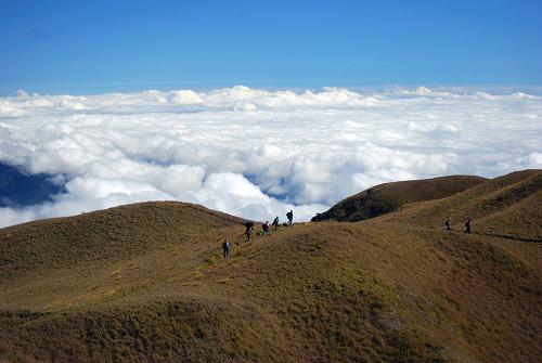 Mount Pulag
