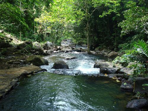 Stream near Tinago Falls