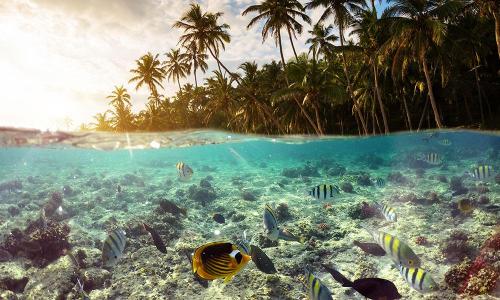 Underwater scene